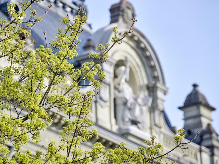 Main building of the Universiy of Bern seen through tree branches
